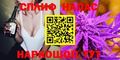 стафф Краснознаменск